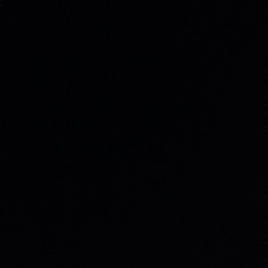 Meet your Posher, Arianna